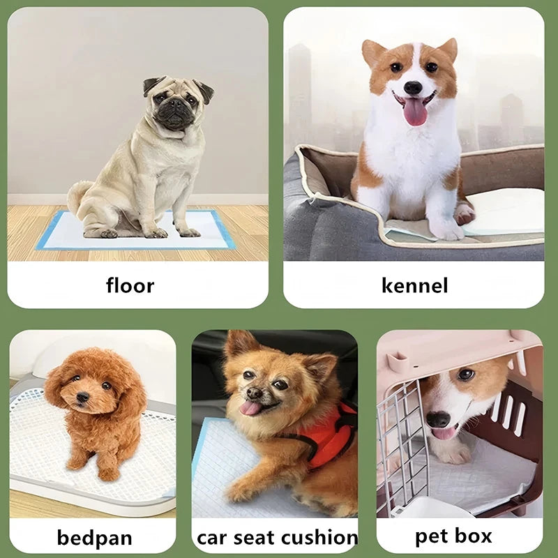 100/50/40/20PCS Puppy Training Pee Pads Absorbent Dogs Diapers Disposable  Quick Dry Surface Mat Clean Cushion Dog Supplies